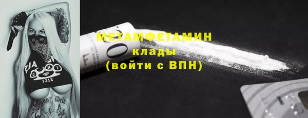 гидра Медвежьегорск