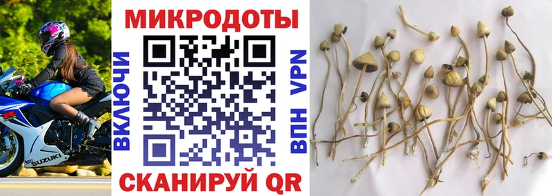где купить   Тобольск  Галлюциногенные грибы Magic Shrooms 