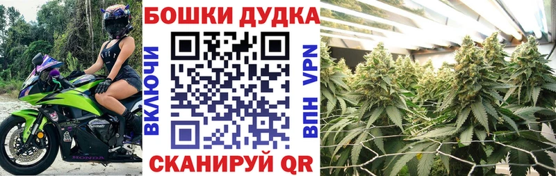 магазин продажи наркотиков  Тобольск  Конопля конопля 